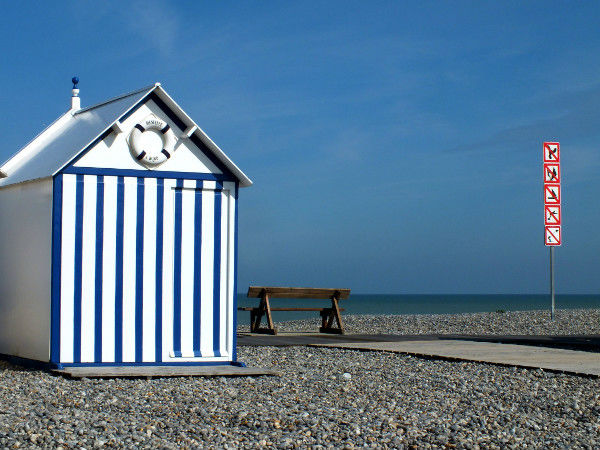 Cayeux-sur-mer 2012 (Photos de Didier Desmet) [Artiste Infirme Moteur Cérébral] [Infirmité Motrice Cérébrale] [IMC] [Paralysie Cérébrale] [Cerebral Palsy] [Handicap]