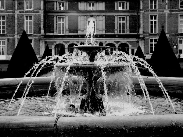 Eu - La fontaine du Château d`Eu (Seine-Maritime - 76260) [2016] (Photo de Didier Desmet) Noir et blanc [Artiste Infirme Moteur Cérébral] [Infirmité Motrice Cérébrale] [IMC] [Paralysie Cérébrale] [Cerebral Palsy] [Handicap]